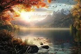 03.webp