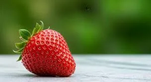 09.webp