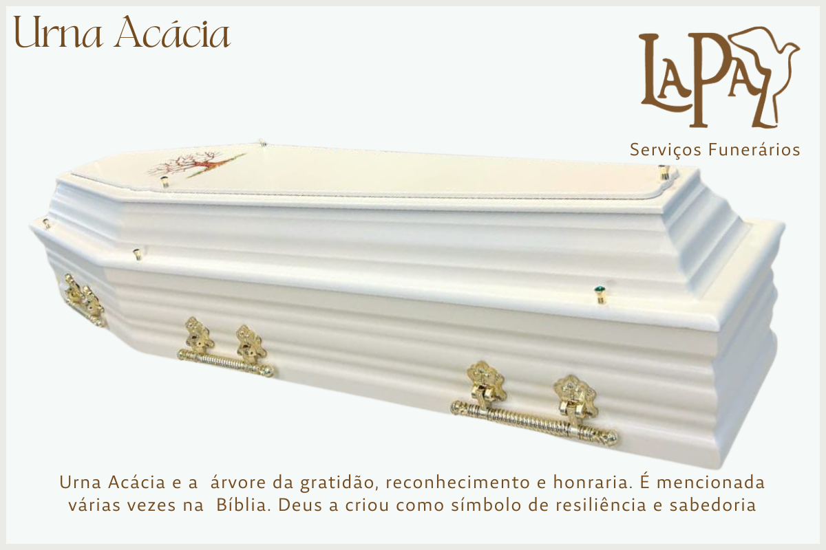 Urna Acácia