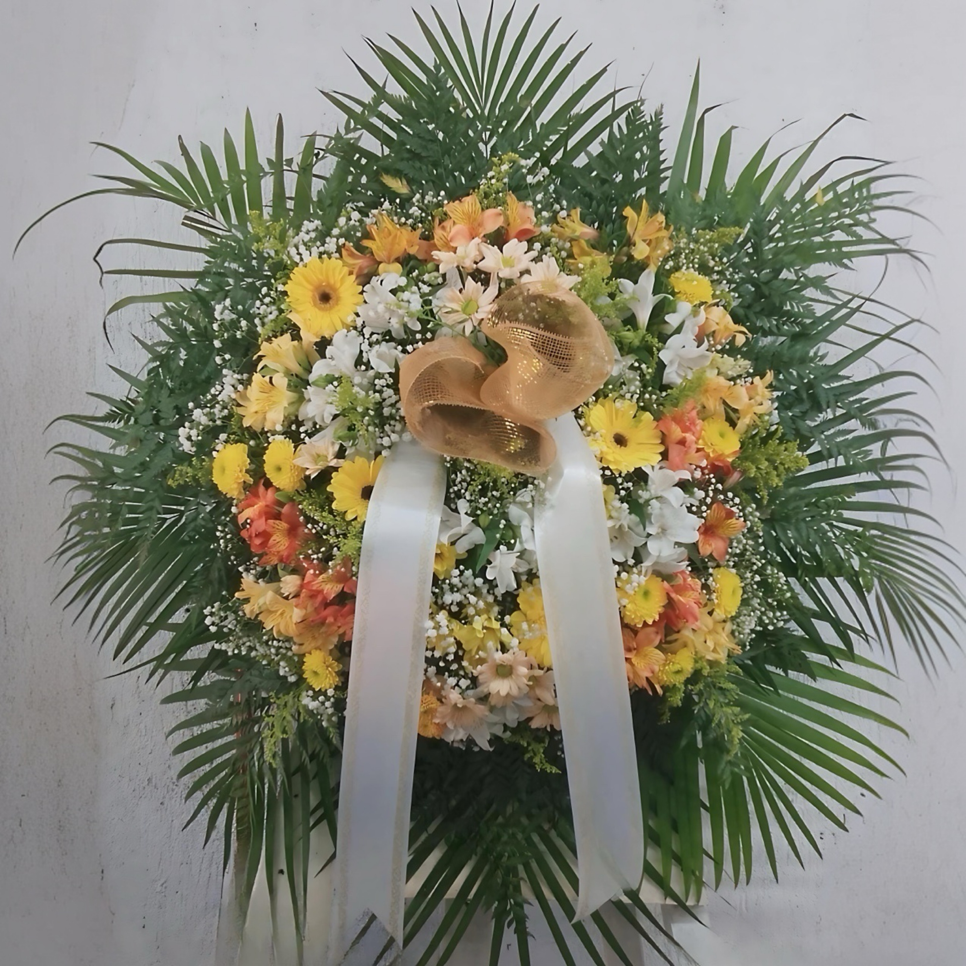 Coroa